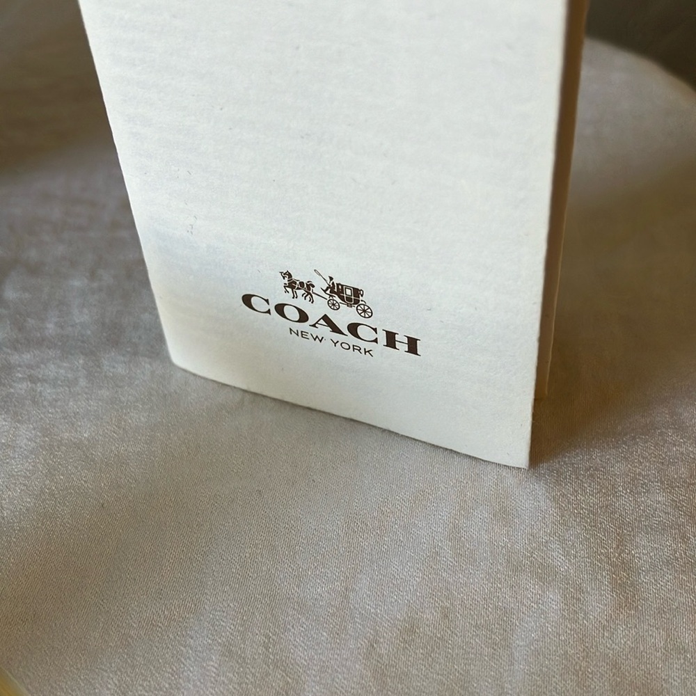 Coach: Shiny Light Gold (HC 7107) Sunglasses- Gold Tone- Case & Cloth - Picture 2 of 16